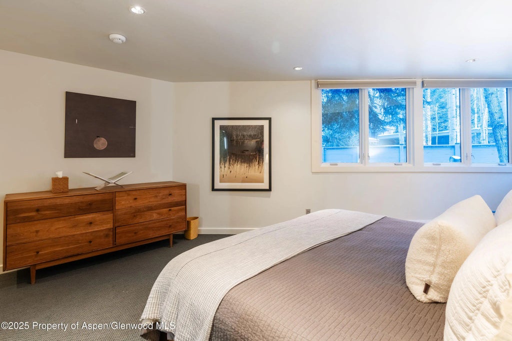 37 of 61 - 506 W Hallam Street, Aspen, CO