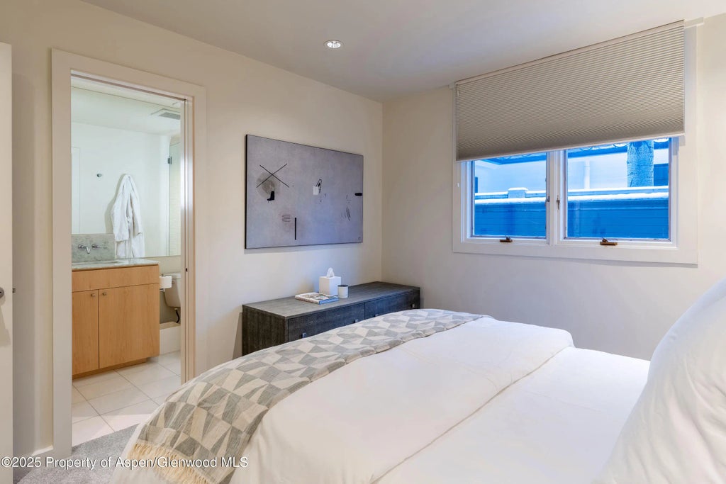 40 of 61 - 506 W Hallam Street, Aspen, CO