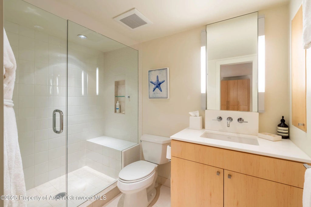 44 of 61 - 506 W Hallam Street, Aspen, CO