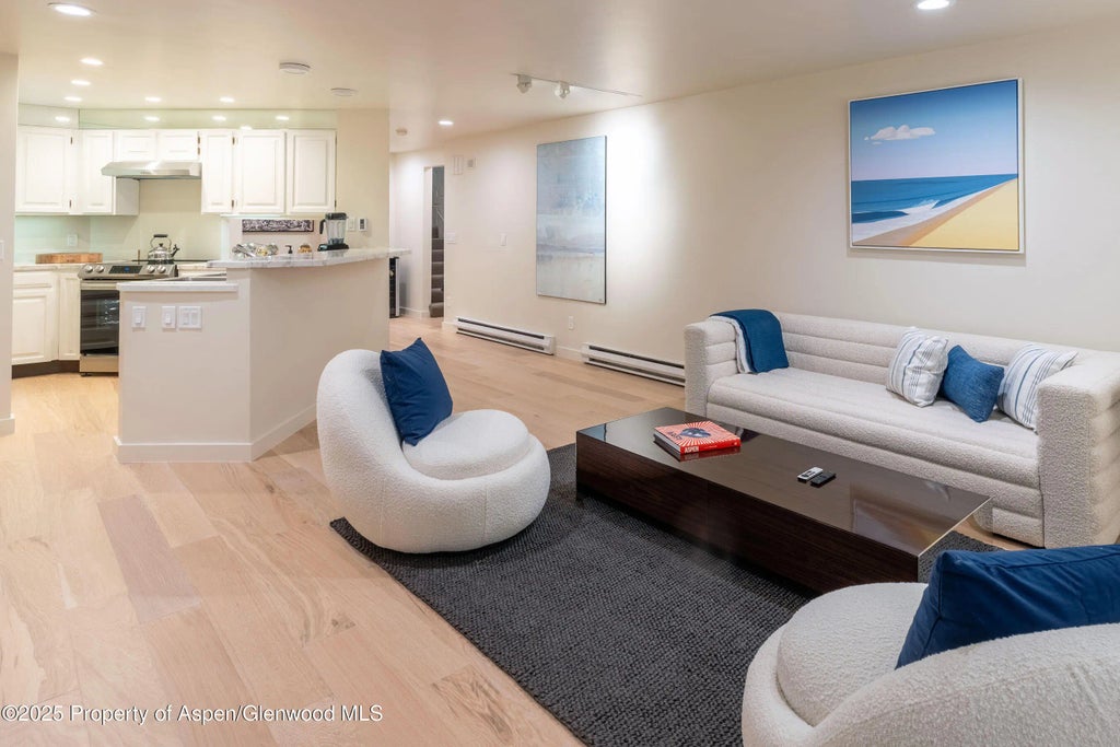 51 of 61 - 506 W Hallam Street, Aspen, CO