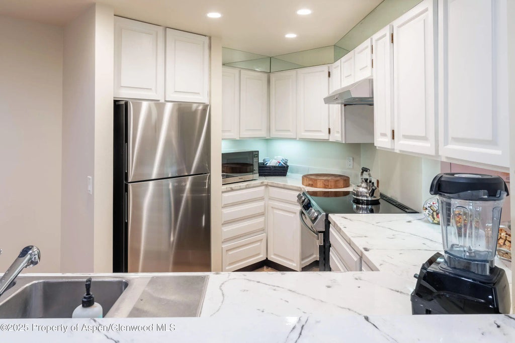 55 of 61 - 506 W Hallam Street, Aspen, CO
