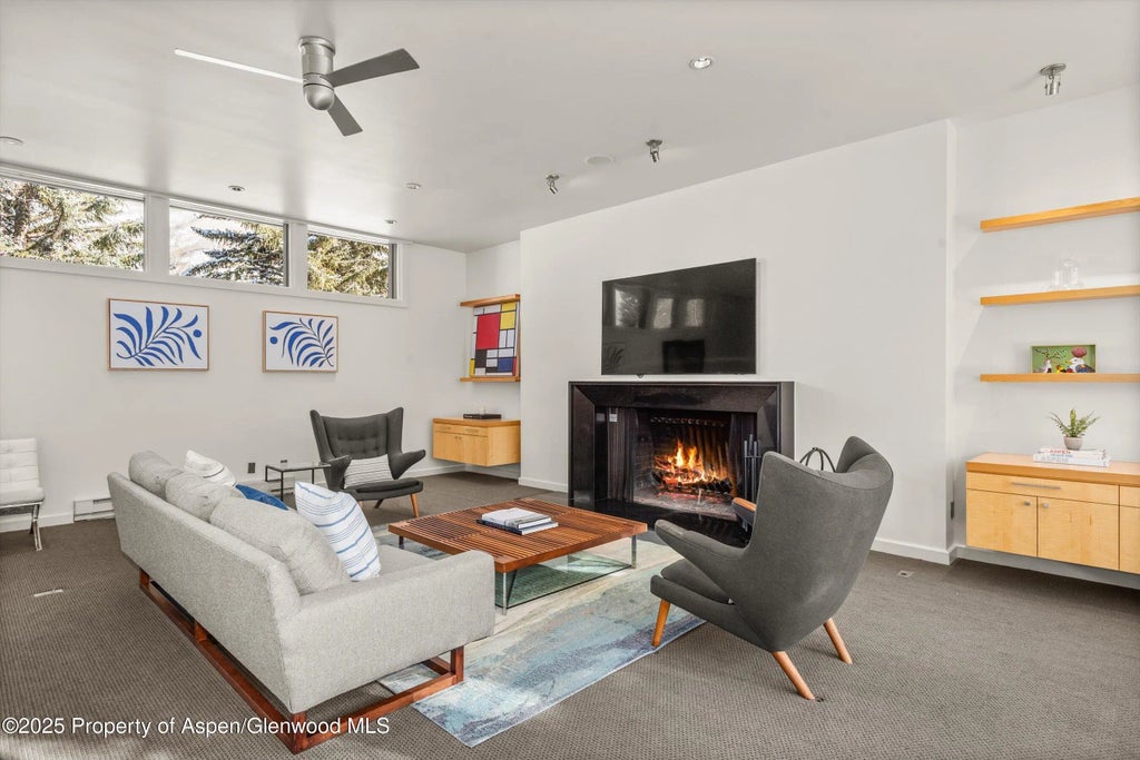 6 of 51 - 506 W Hallam Street, Aspen, CO