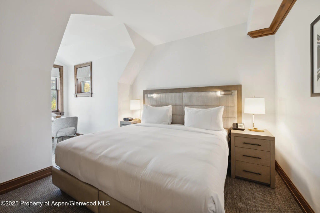 21 of 36 - 415 E Dean St, Unit 47, Weeks 51/52, Aspen, CO