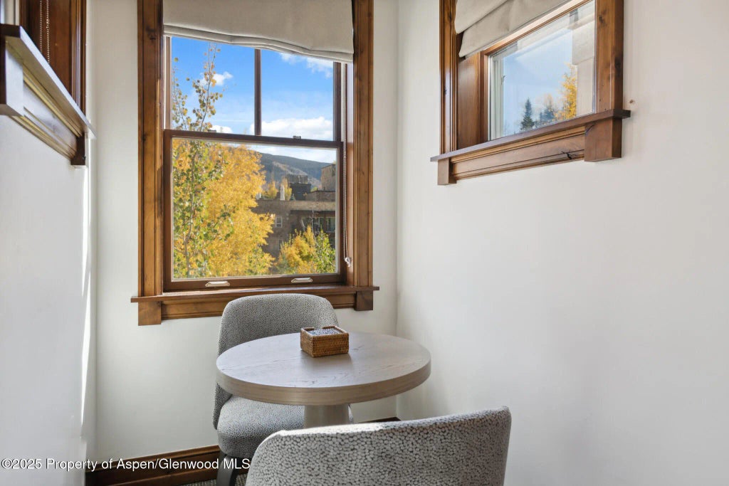 23 of 36 - 415 E Dean St, Unit 47, Weeks 51/52, Aspen, CO