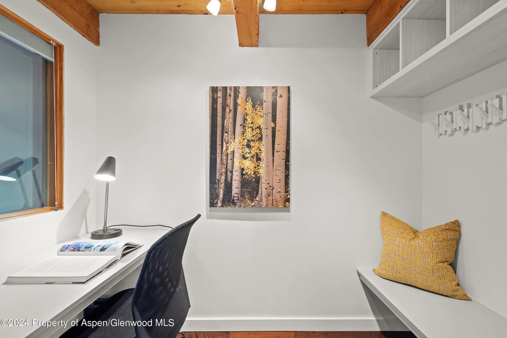 15 of 31 - 1024 E Cooper Avenue 3a, Aspen, CO