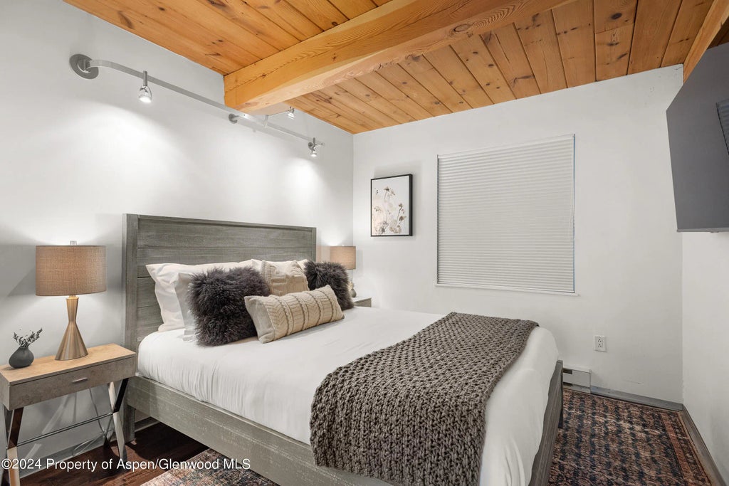 19 of 31 - 1024 E Cooper Avenue 3a, Aspen, CO