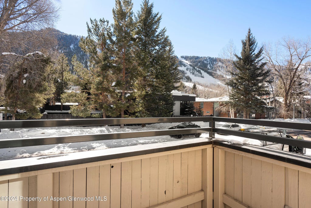 29 of 31 - 1024 E Cooper Avenue 3a, Aspen, CO