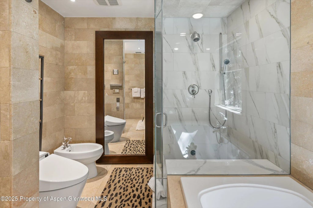 10 of 32 - 901 W Francis Street, Aspen, CO