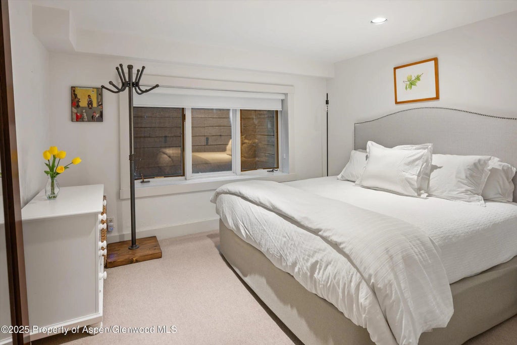 23 of 32 - 901 W Francis Street, Aspen, CO