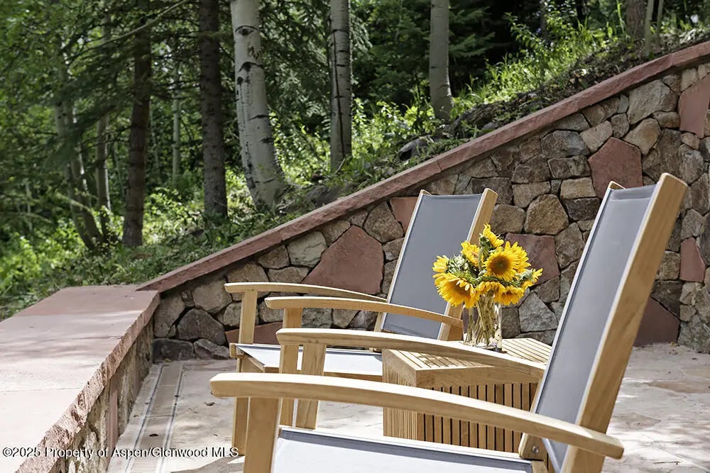 12 of 29 - 333 Faraway Road, Snowmass Village, CO
