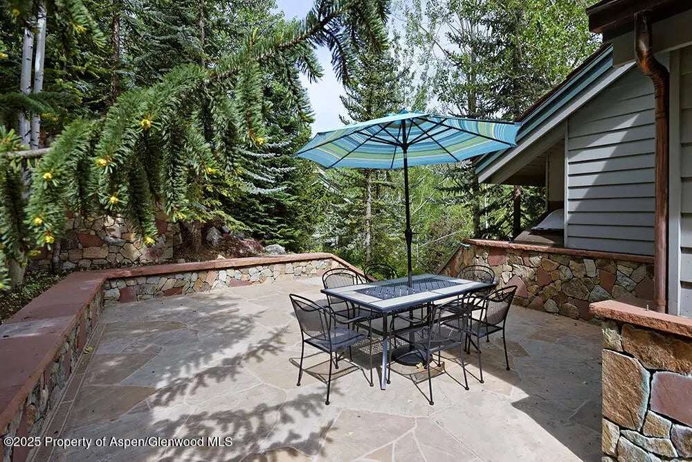 29 of 29 - 333 Faraway Road, Snowmass Village, CO
