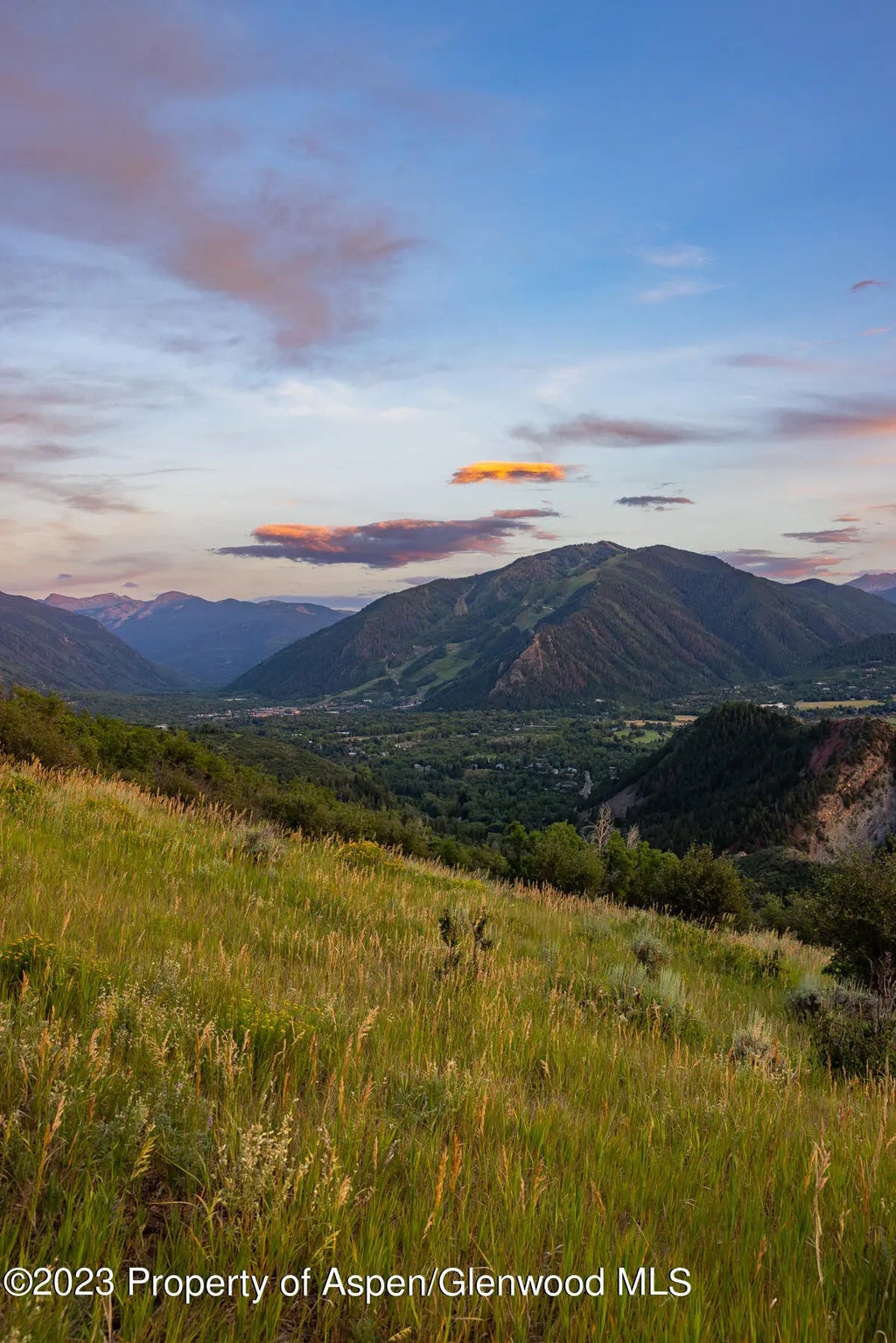 14 of 24 - 754 Eppley Drive, Aspen, CO