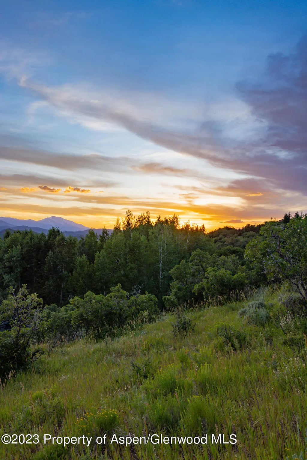 15 of 24 - 754 Eppley Drive, Aspen, CO