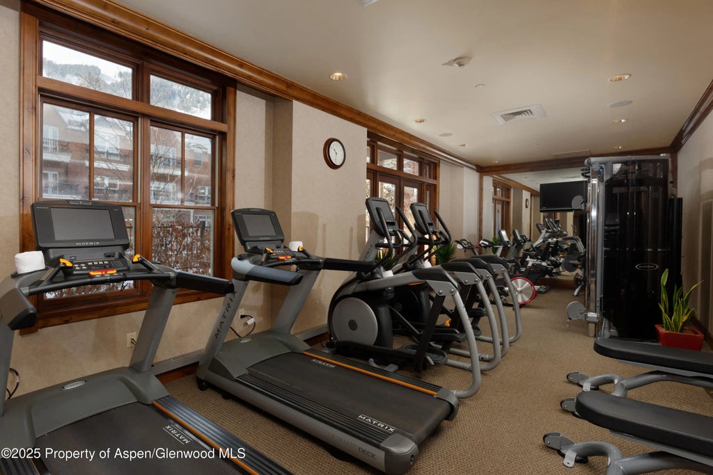 14 of 18 - 415 E Dean Street Unit 32- Wk 6, Aspen, CO