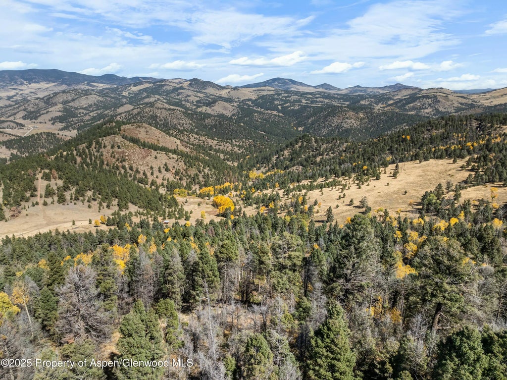 10 of 41 - 3115 State Hwy 9, Guffey, CO
