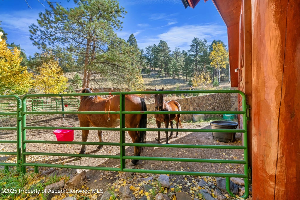36 of 41 - 3115 State Hwy 9, Guffey, CO