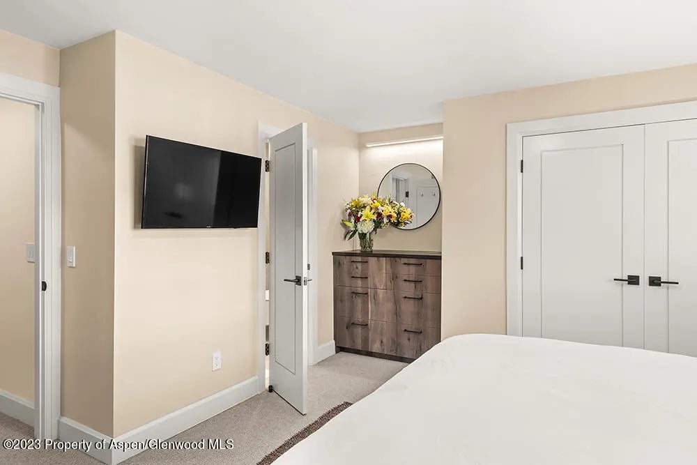 11 of 23 - 631 S Galena Street #11, Aspen, CO