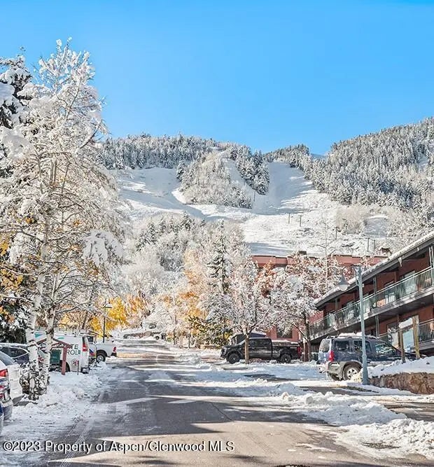 23 of 23 - 631 S Galena Street #11, Aspen, CO