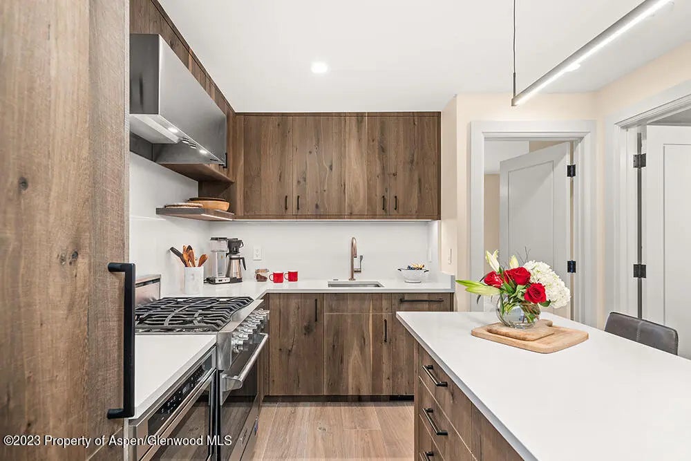 5 of 23 - 631 S Galena Street #11, Aspen, CO