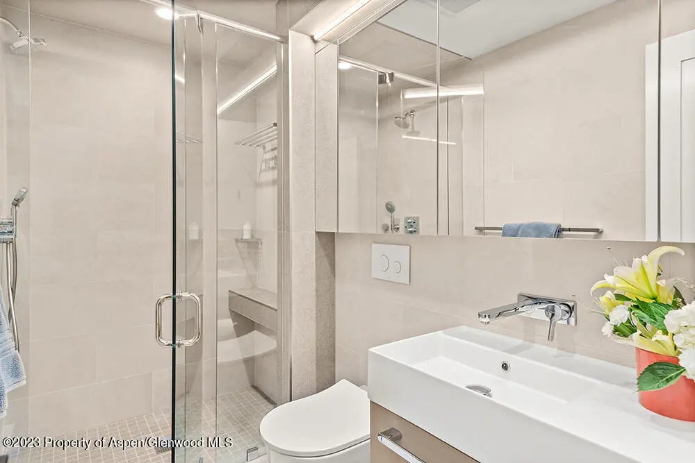 9 of 23 - 631 S Galena Street #11, Aspen, CO