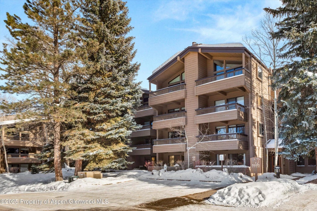 15 of 21 - 610 S West End Street E103, Aspen, CO