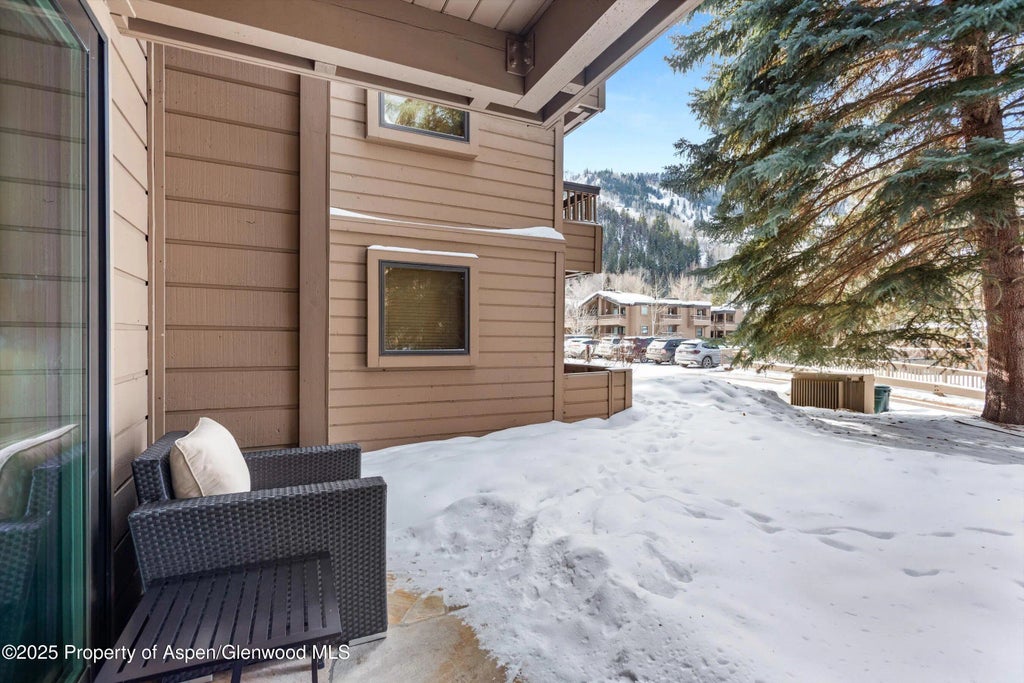 16 of 21 - 610 S West End Street E103, Aspen, CO