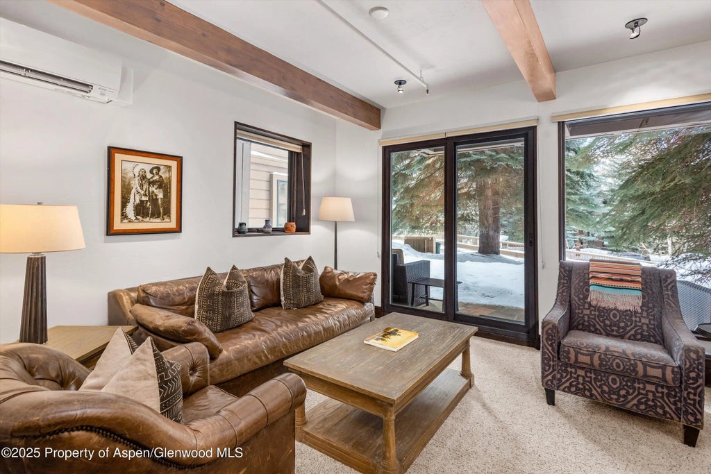 4 of 21 - 610 S West End Street E103, Aspen, CO