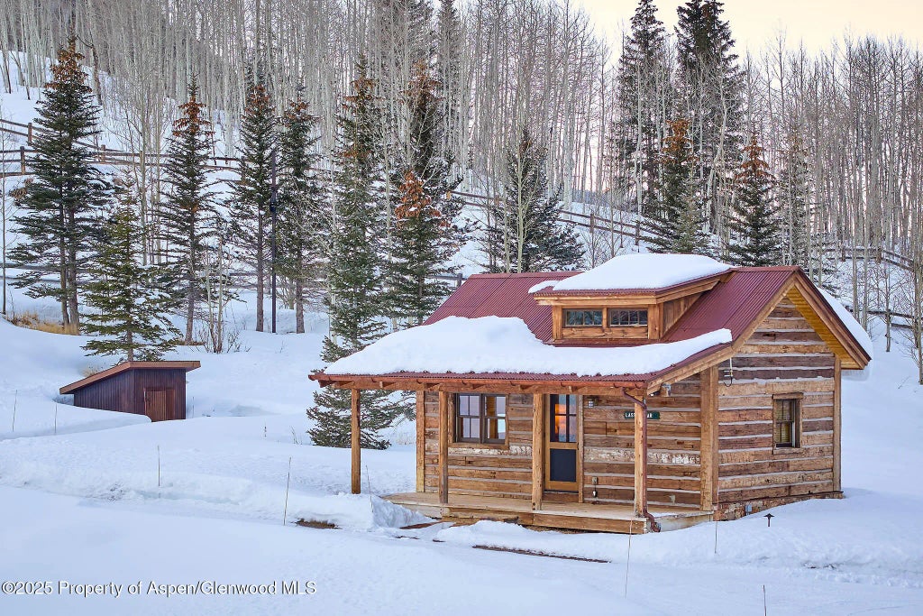 38 of 56 - 125 Rooney Circle, Aspen, CO