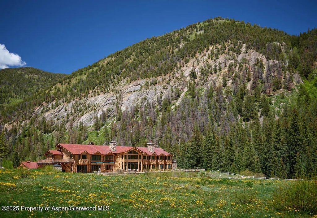 4 of 56 - 125 Rooney Circle, Aspen, CO