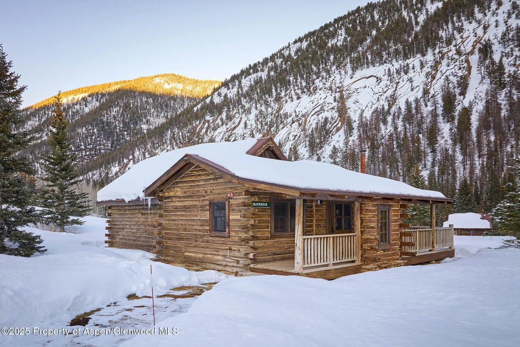 44 of 56 - 125 Rooney Circle, Aspen, CO