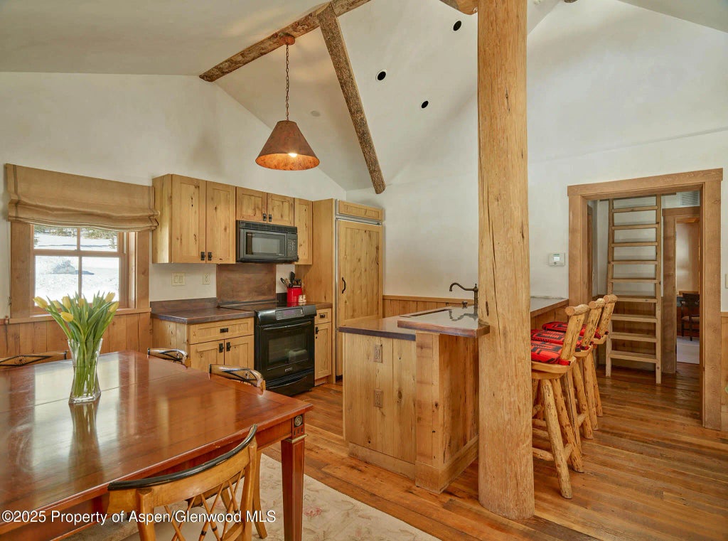 46 of 56 - 125 Rooney Circle, Aspen, CO