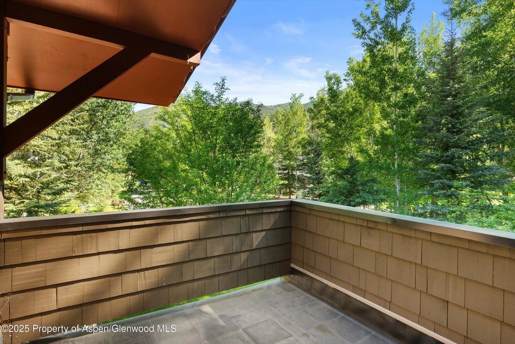 17 of 24 - 1345 Sage Court, Aspen, CO