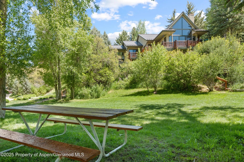 43 of 47 - 106 N Little Texas Lane, Woody Creek, CO