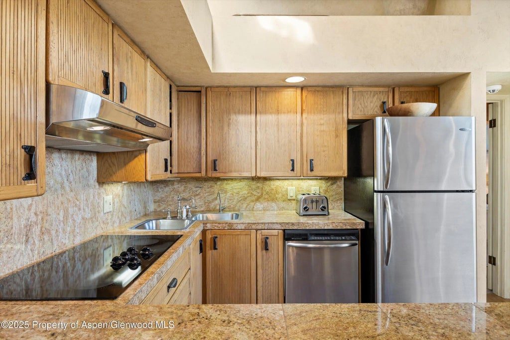 11 of 29 - 117 W Hyman #2, Aspen, CO