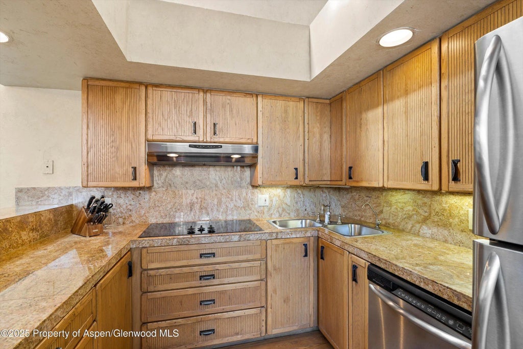 12 of 29 - 117 W Hyman #2, Aspen, CO