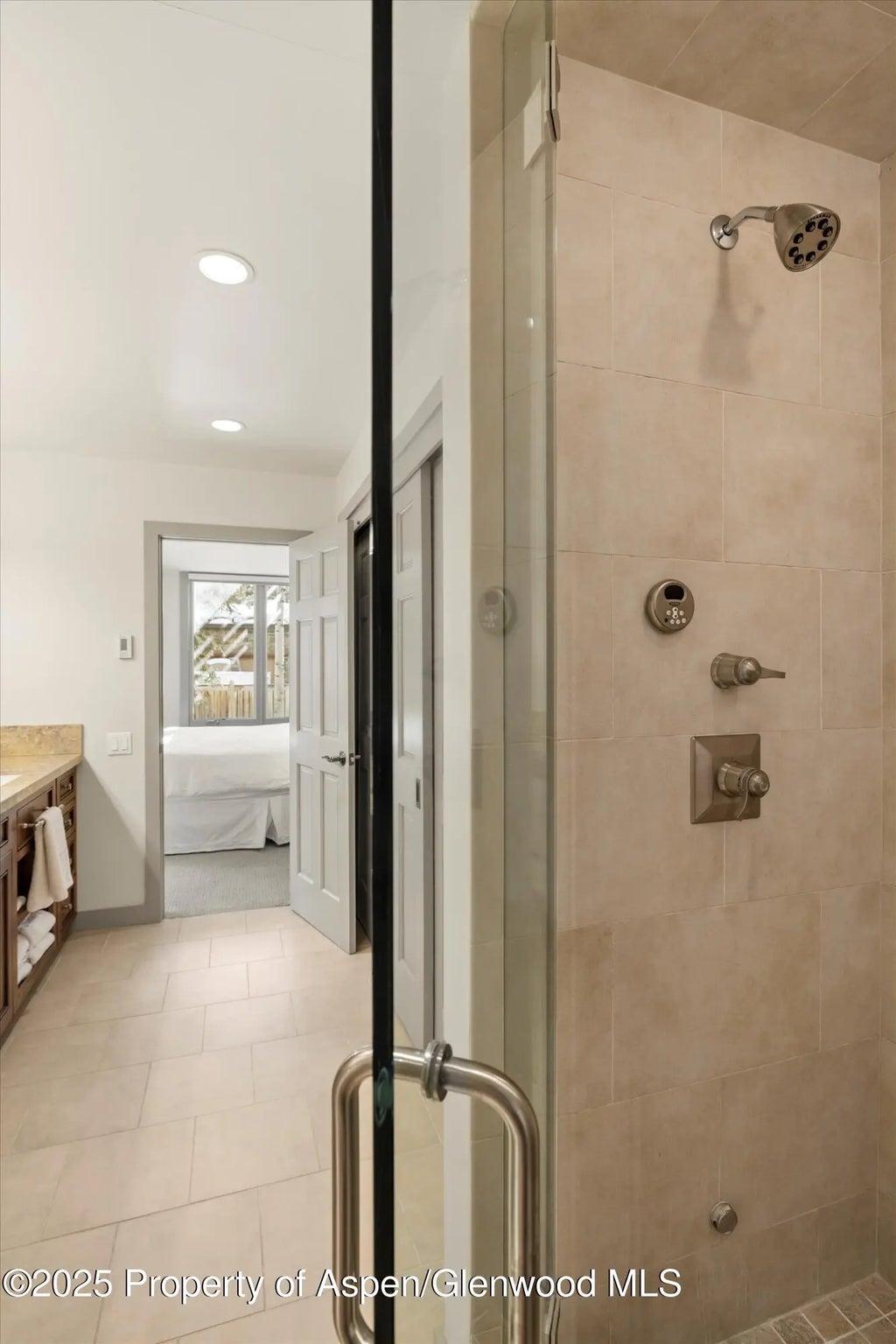 17 of 29 - 117 W Hyman #2, Aspen, CO