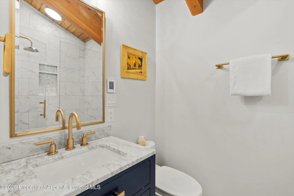 19 of 29 - 117 W Hyman #2, Aspen, CO