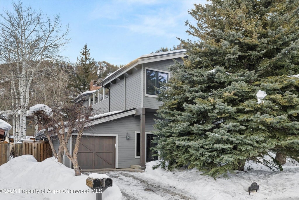 29 of 29 - 117 W Hyman #2, Aspen, CO