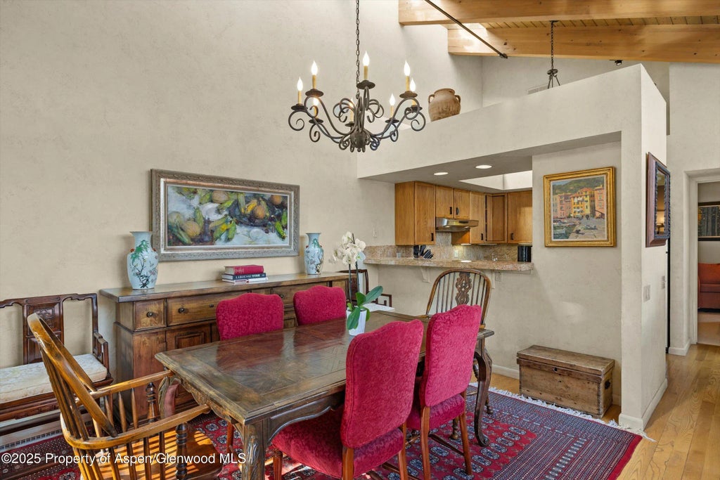 8 of 29 - 117 W Hyman #2, Aspen, CO