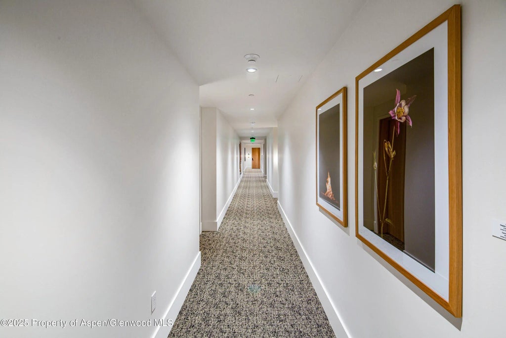 38 of 41 - 119 Wood Road Unit 206, Snowmass Village, CO