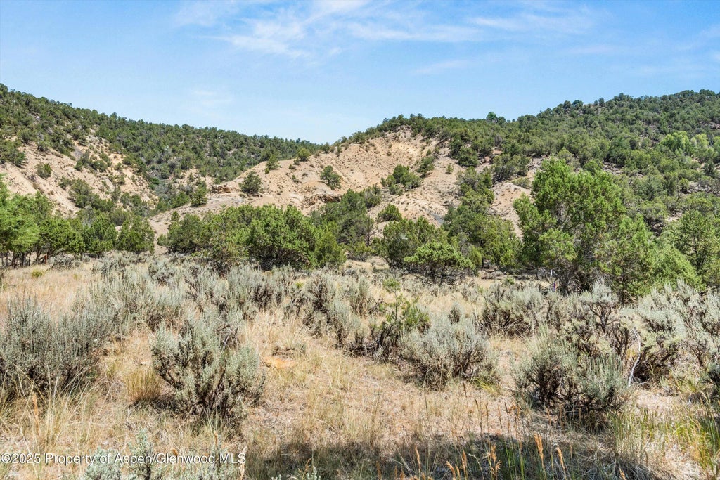 12 of 28 - 604 Larkspur Drive, Carbondale, CO