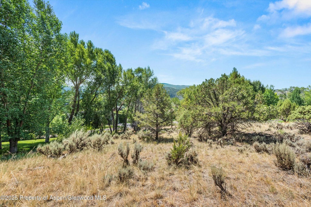 14 of 28 - 604 Larkspur Drive, Carbondale, CO