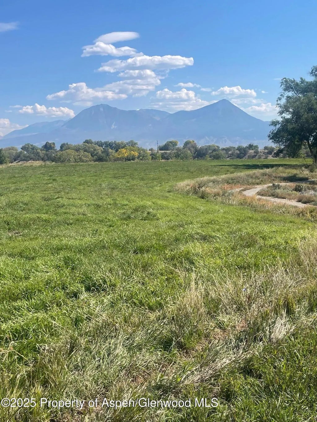 10 of 22 - Tbd 3300 Road, Hotchkiss, CO