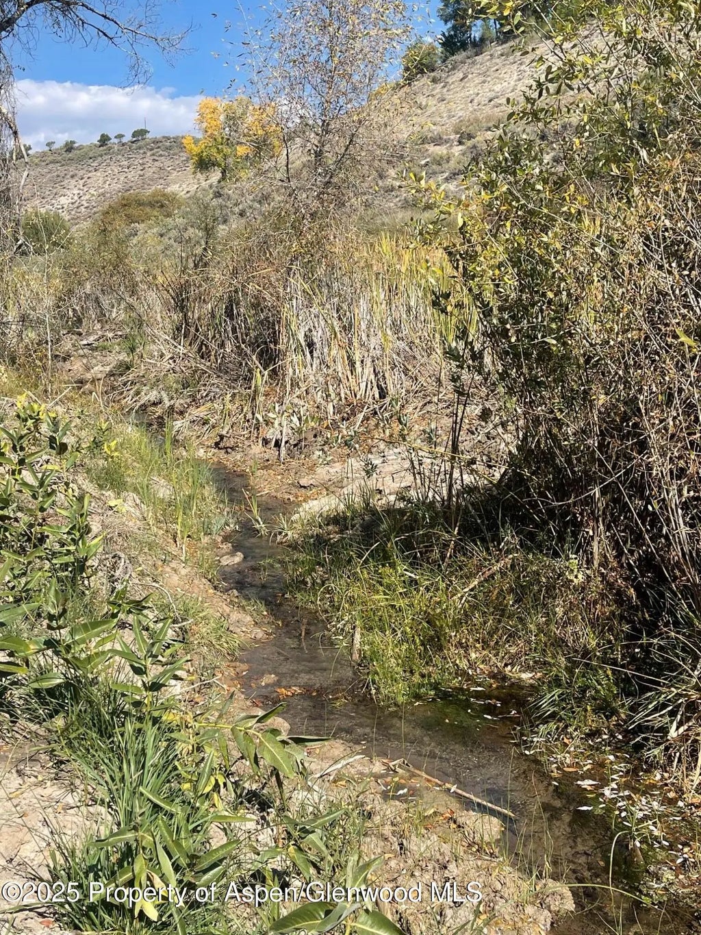 5 of 22 - Tbd 3300 Road, Hotchkiss, CO