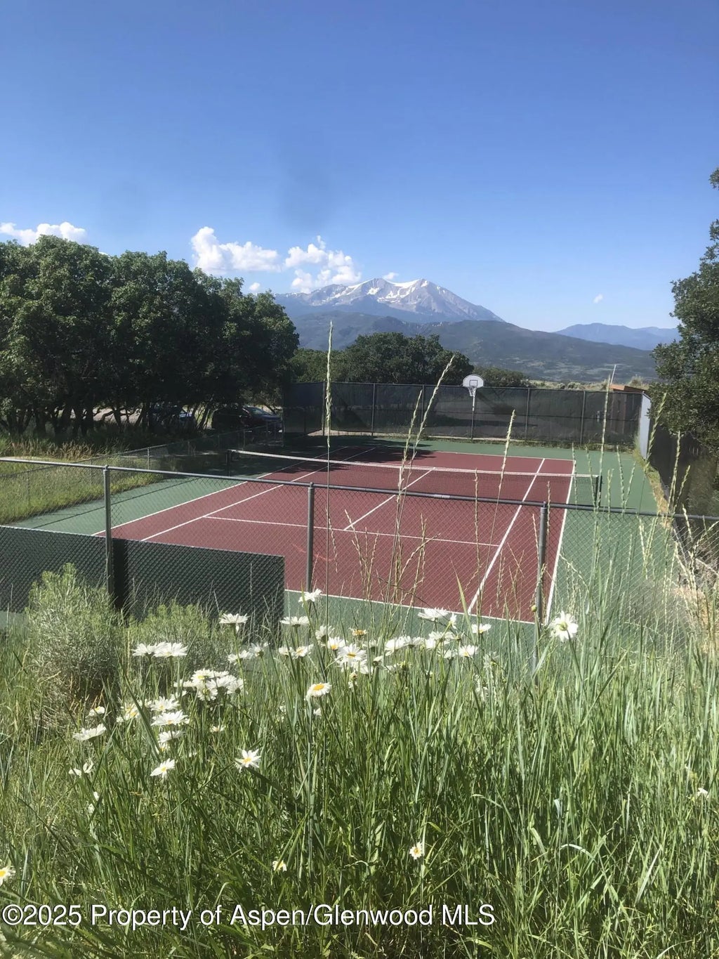 24 of 30 - 450 Green Meadow Drive, Carbondale, CO