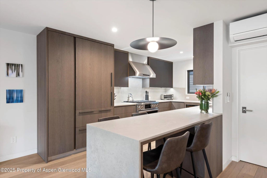 4 of 29 - 650 S Monarch Street Unit 7, Aspen, CO