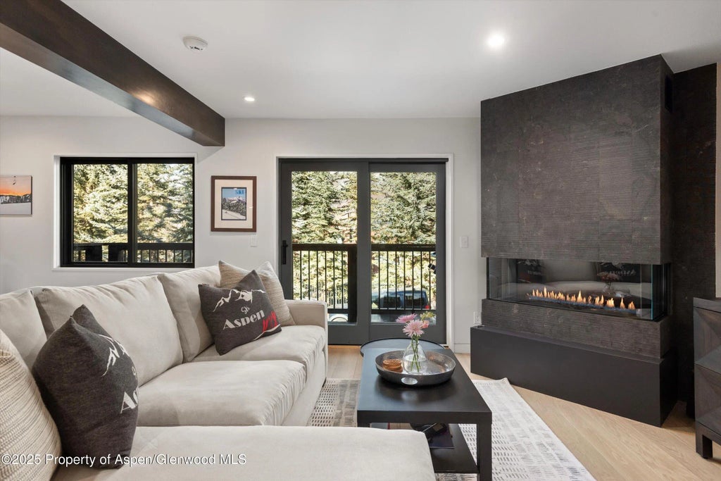 6 of 29 - 650 S Monarch Street Unit 7, Aspen, CO