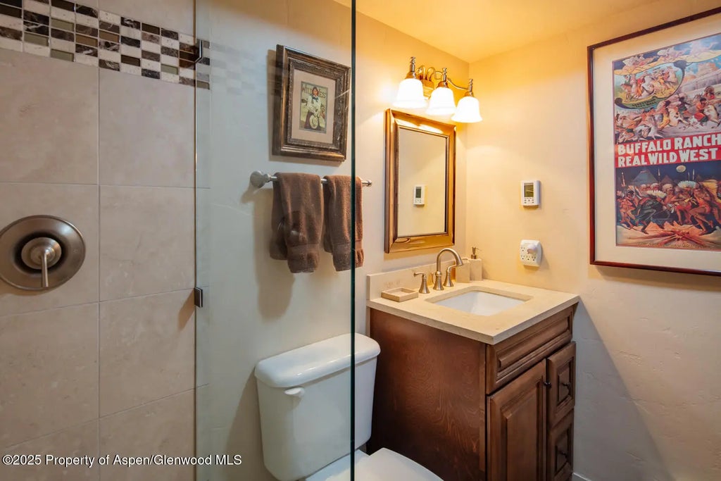 13 of 25 - 100 N 8th Street 28, Aspen, CO
