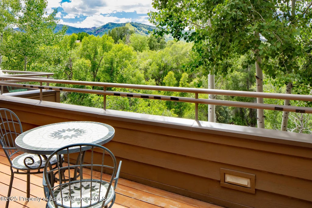 15 of 25 - 100 N 8th Street 28, Aspen, CO