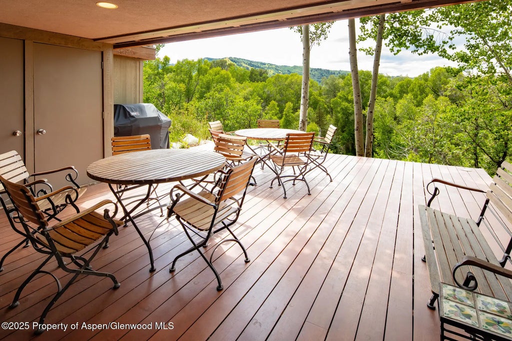 16 of 25 - 100 N 8th Street 28, Aspen, CO